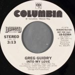 1982_Greg_Guidry_Into_My_Love
