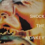 1982_Peter_Gabriel_Shock_The_Monkey