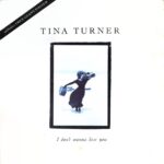 1989_Tina_Turner_I_Don't_Wanna_Lose_You 1989_Tina_Turner_I_Don't_Wanna_Lose_You