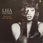 1991_Lisa_Fischer_How_Can_I_Ease_The_Pain