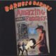 1984 Barnes & Barnes ‎– Amazing Adult Fantasy
