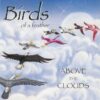 1994 Birds Of A Feather - Above The Clouds