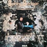 1973 Bobby Bridger - And I Wanted To Sing For The People