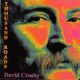 1993 David Crosby - Thousand Roads