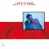 1990 Nick DeCaro – Love Storm