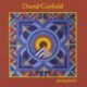 2003 David Garfield - Giving Back