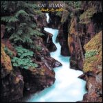 Stevens, Cat 1978