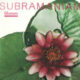 1981 Lakshminarayana Subramaniam - Blossom