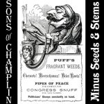 The Sons Of Champlin 1970 The Sons Of Champlin 1970