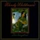 1973 Wendy Waldman - Love Has Got Me