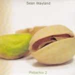 Wayland, Sean 2009