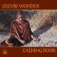 1972 Stevie Wonder - Talking Book