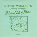 Wonder-Stevie-1979