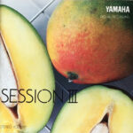 session III